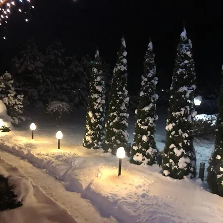 فيلة 
